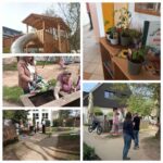 Collage: Gemeinsames Bepflanzen von Hochbeeten